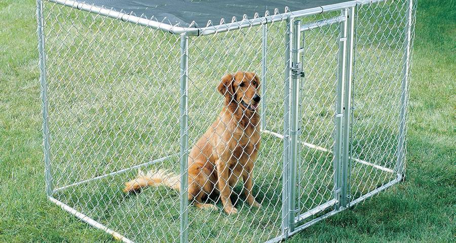 chain link fence4