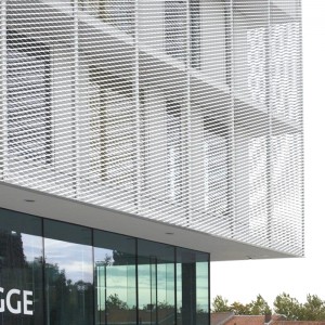 Expanded Mesh Facade Cladding